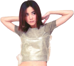top1.gif (27920 bytes)